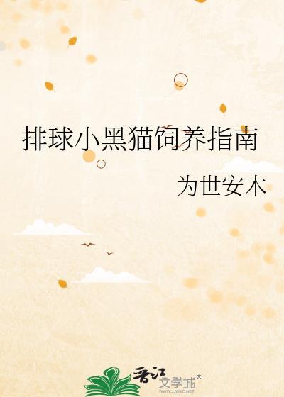 小排球里的排球