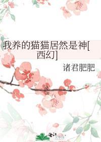我养的猫