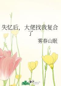 失忆后大佬找我复合了免费阅读