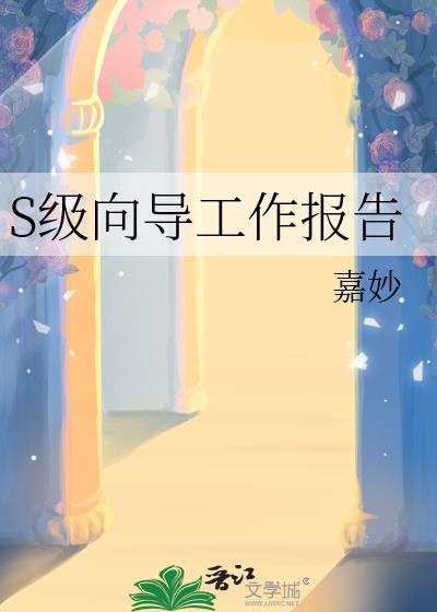 s级向导工作报告嘉miao