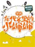 穿成年代文里的小婶婶免费阅读