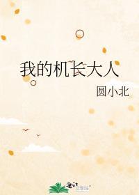 我的机长大人by圆小北免费阅读