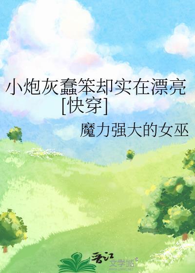 小炮灰蠢笨却实在漂亮快穿免费阅读