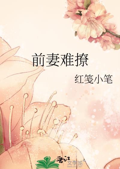 前妻难撩晋江