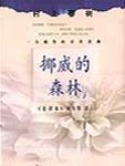 挪威的森林 伍佰