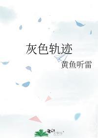 灰色轨迹尾奏solo