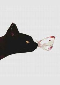 人间好时节最精辟的十句话