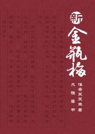 新金瓶梅连续集