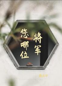 将军您在哪里歌曲