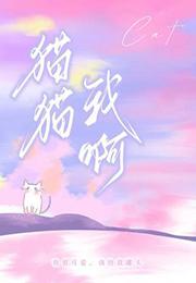猫啊猫原文