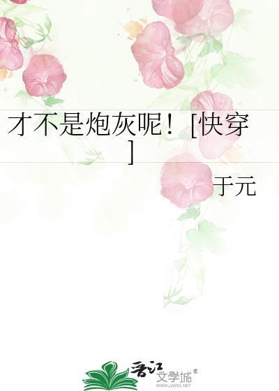 才不是呢是什么意思