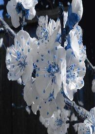 春秋航空涨0.15%