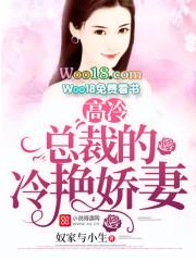 高冷总裁狂宠妻佚名