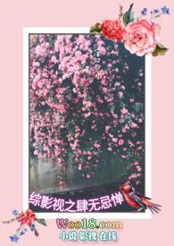 综影视之综影视