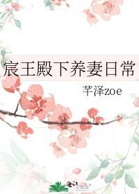 宸王殿下养妻日常乐文
