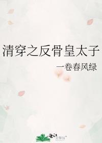 清穿反清