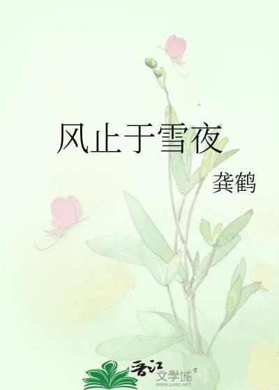 风止于雪夜txt