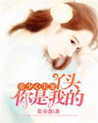 帝少的心尖宠儿第一次