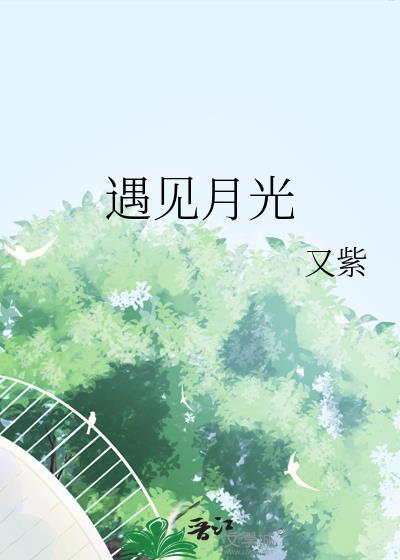 遇见月光 又紫笔趣阁