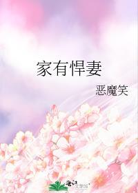 家有悍妻免费观看全集