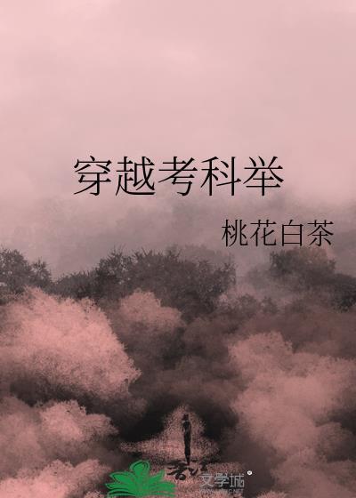 穿越考科举晋江