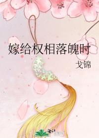 嫁给首辅当二房