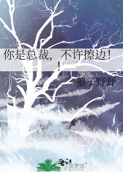 总裁不许动免费无弹窗