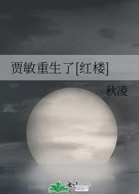 贾敏重生的