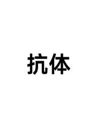 抗体高了说明什么