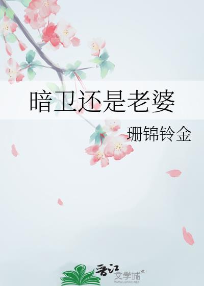 暗卫还是老婆by阅读