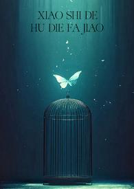 消失的蝴蝶发夹h