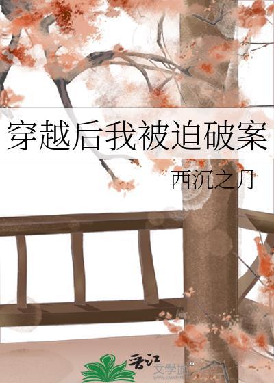 穿越后我被迫破案 西沉之月