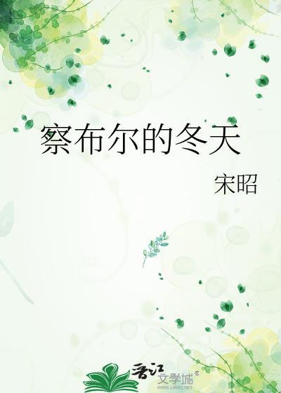 察布尔的冬天txt