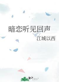 暗恋听见回声免费阅读江城以西