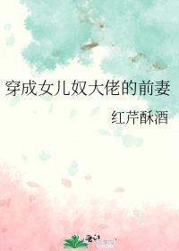 穿成女儿奴大佬前妻简介