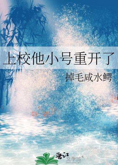 上校他小号重开了掉毛