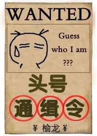 头号通缉令(无限流)免费阅读全文