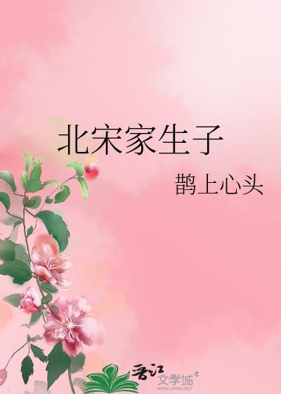 北宋家生子晋江文学
