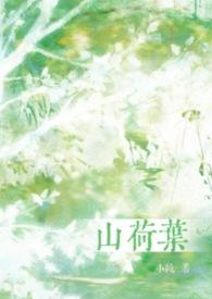 山荷叶花精灵王