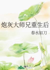 炮灰师兄要翻身追书神器