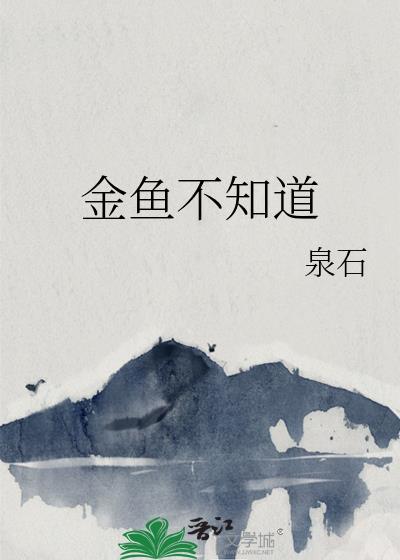 金鱼不知道泉石在线阅读