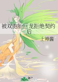 被双胞胎巨龙拒绝契约后by岐川