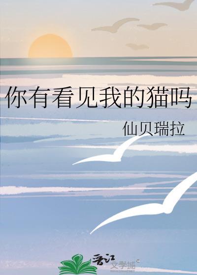 你有看到我的猫吗