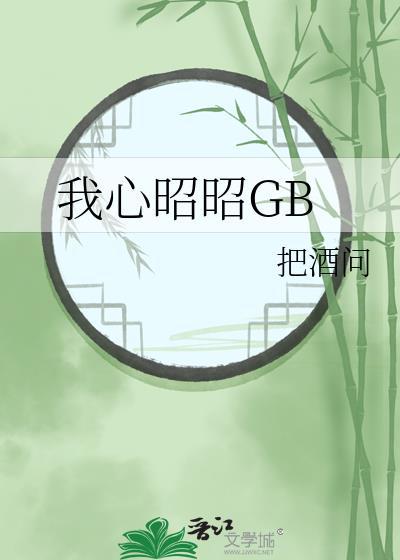 我心昭昭gb把酒问txt