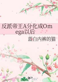 这个好像差不多