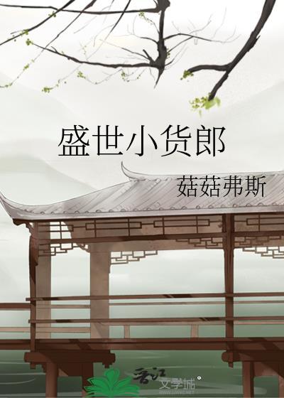 盛世小货郎全本TXT