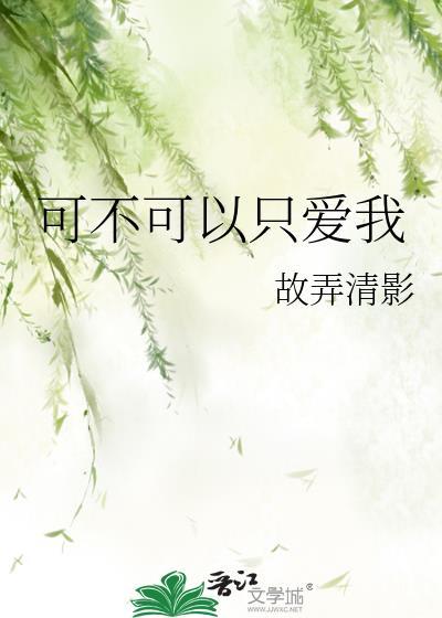 可不可以爱我歌词意思