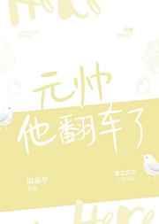 元帅他翻车了第三十三章