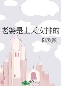 老婆是上天安排的在线阅读