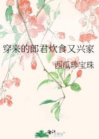 穿来的郎君炊食又兴家TXT